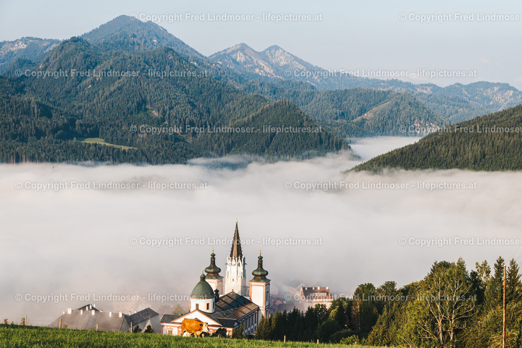 Basilika Mariazell Herbstnebel Stehralm-28538 | Fotos und Fotoprodukte - Realisiert mit Pictrs.com