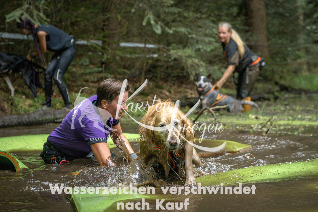1529_ZZ90917-Bearbeitet | kk-dogfotos