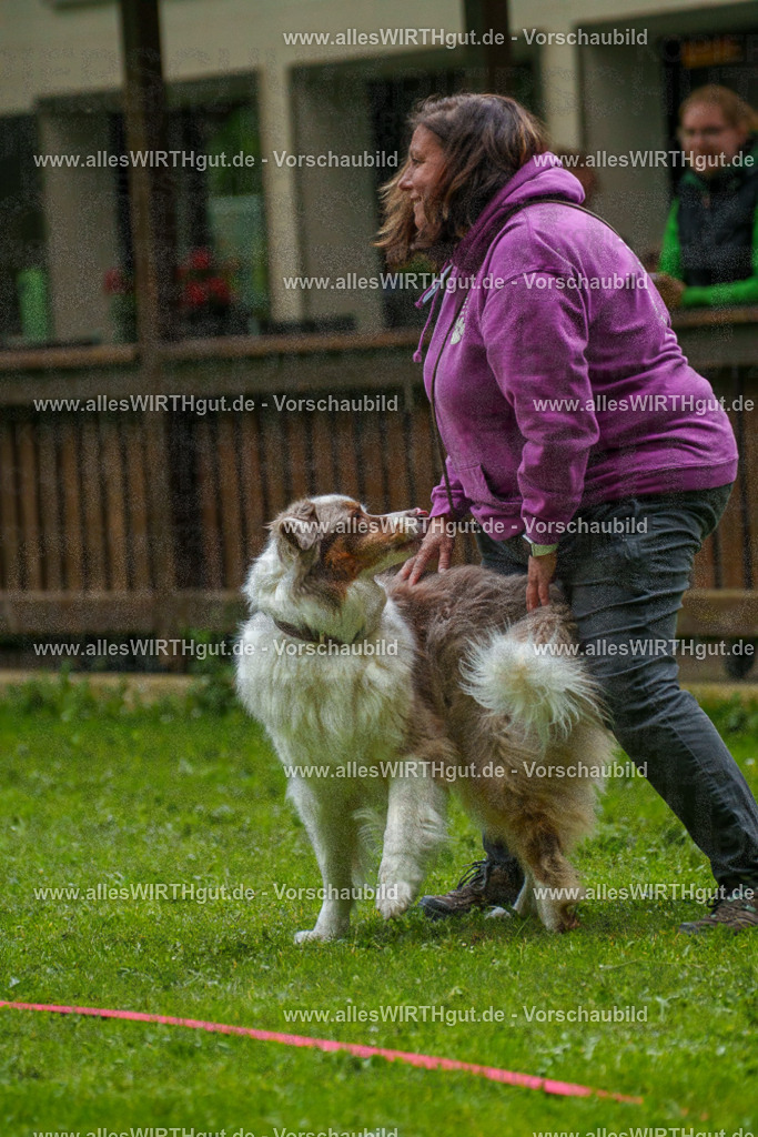 @allesWIRTHgut_Tierfotografie - www.allesWIRTHgut.de - 7R503359 | Professionelle Tierfotografie in Mönchengladbach von Daniel Wirth (allesWIRTHgut). Liebevolle & natürliche Bilder von Hunden & Katzen für unvergessliche Erinnerungen.