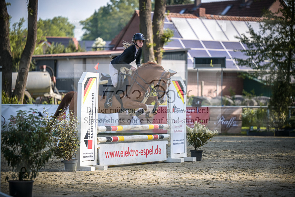 DOS_5784 | Entdecke hochwertige Reitturnierfotos von Foto Oger. Professionell, emotional und authentisch – jetzt Lieblingsmomente im Shop bestellen. - Realisiert mit Pictrs.com