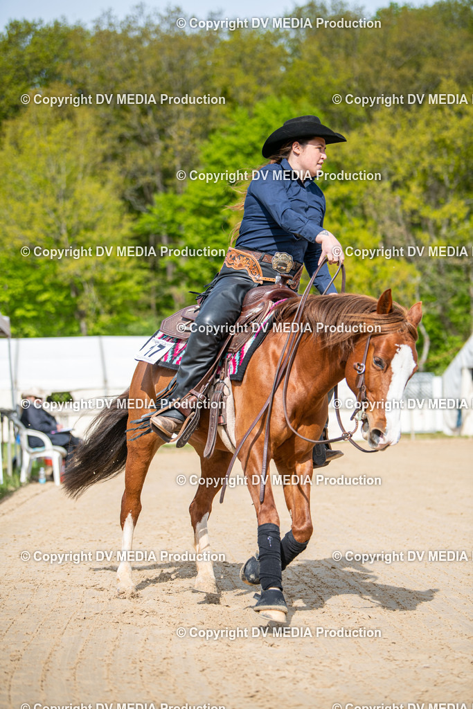 Heiligenwald Tag 3-702 | dv-media-shop - Realisiert mit Pictrs.com