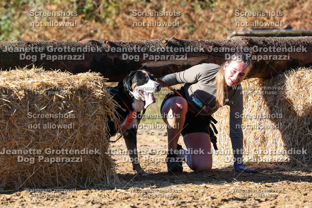 Dog Paparazzi - Strongdog 10-25-1794 | Dog Paparazzi Jeanette Grottendiek Fotografie & Videografie - Realisiert mit Pictrs.com