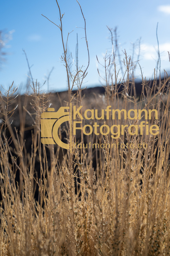 Nationalpark_Teide_ohne_Teide_def-3245 | kaufmannfoto - Realisiert mit Pictrs.com