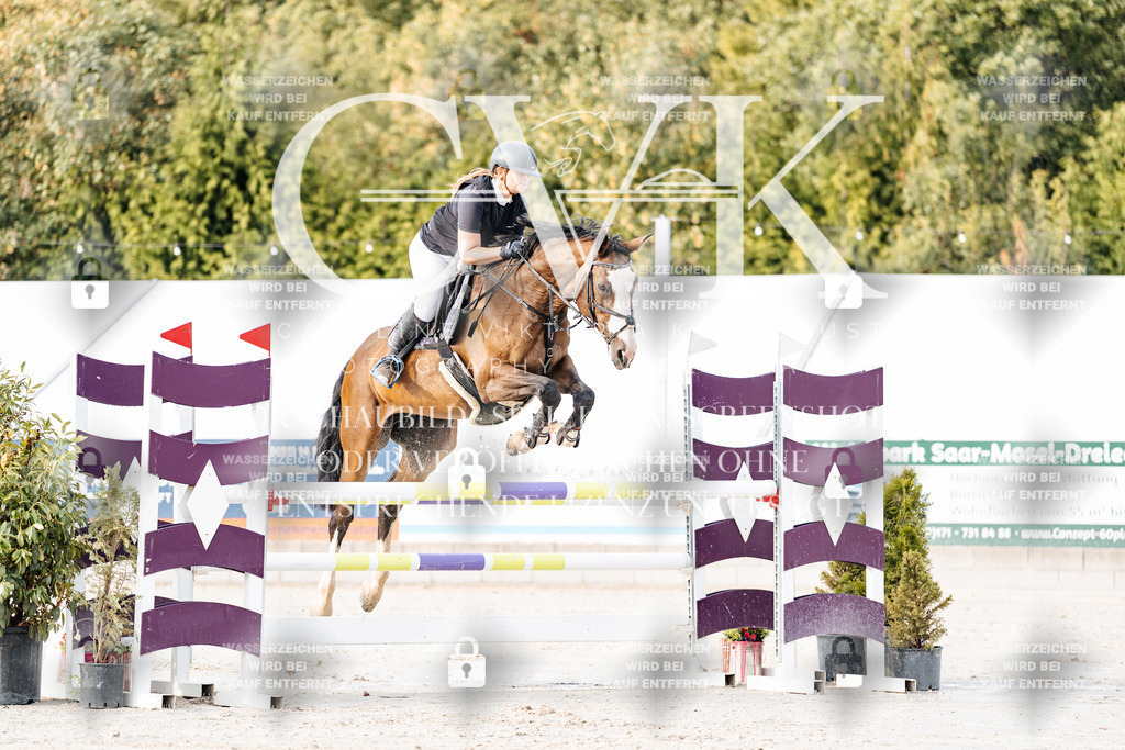 CK903244 | Turnierfotografie Pferdefotografie Trier Rheinland-Pfalz Pferdesport Reitsport Tierfotografie Sportfotografie Pferdevideo Pferdevideografie Equestrianvideography equestrianphotography  - Realisiert mit Pictrs.com