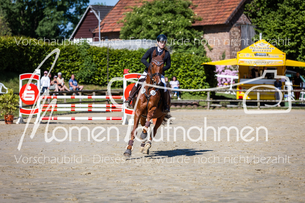 Donop24-A2Spr-131 | MomenTaufnahmen Pferdesportfotos