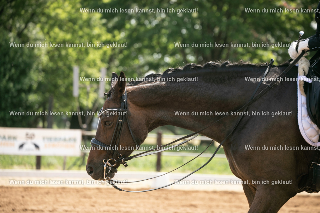 598A7802 | photographylinaismer - Realisiert mit Pictrs.com