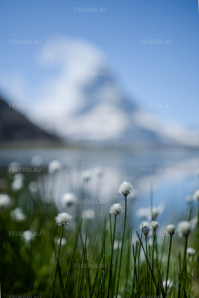 Matterhorn am Riffelsee | FEUERBLAU | Fineart - Realisiert mit Pictrs.com