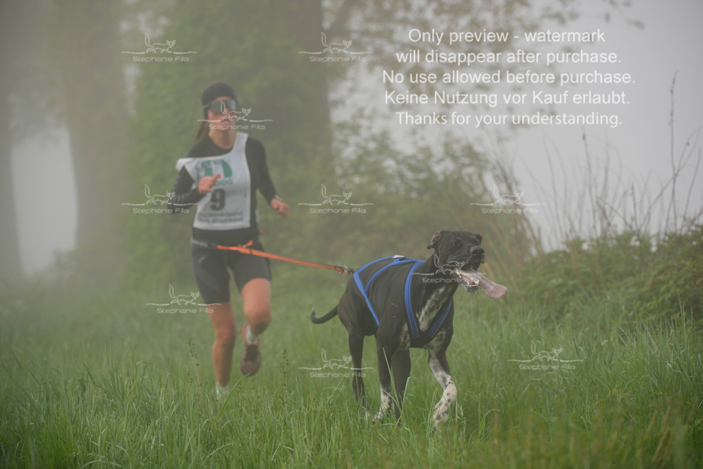 SA_GL2-53 | stephaniefillaphotographie - Realisiert mit Pictrs.com