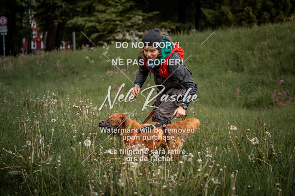 nelerasche_SoZieleinlauf_26 | nelerasche