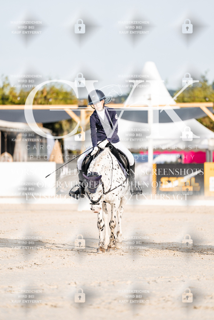 CK903738 | Turnierfotografie Pferdefotografie Trier Rheinland-Pfalz Pferdesport Reitsport Tierfotografie Sportfotografie Pferdevideo Pferdevideografie Equestrianvideography equestrianphotography  - Realisiert mit Pictrs.com