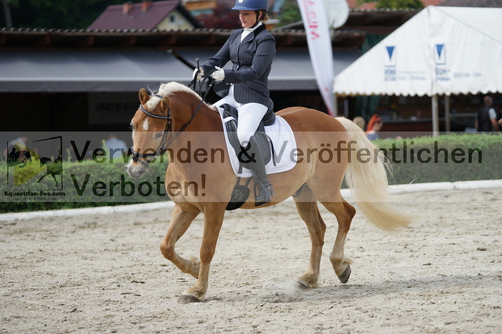 DSC05423 | equestrian-live-com