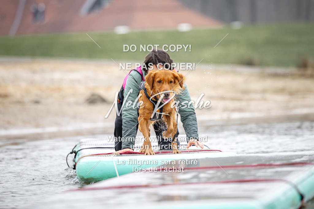 nelerasche_Hulsbeek_Sa1100-1130_216 | nelerasche