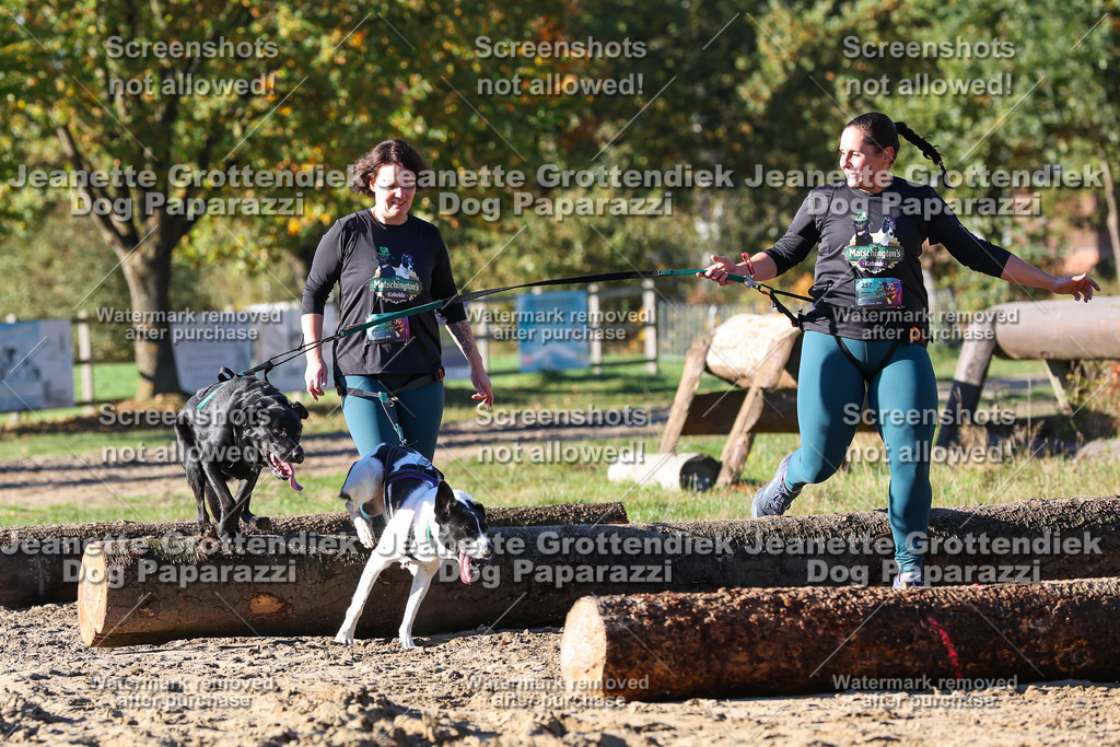 Dog Paparazzi - Strongdog 10-25-1731 | Dog Paparazzi Jeanette Grottendiek Fotografie & Videografie - Realisiert mit Pictrs.com