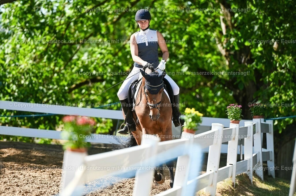 20230715_06_Dressurpferdeprfg. Kl.A_0401 | equistock