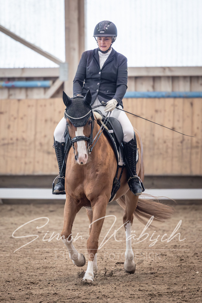 20251011-_3LI1055 | Tierfotografie Pferde, Hunde, Katzen, Haustiere.
Turnierfotografie Reitturniere, Reiten, Springreiten, Dressur in Hanau, dem Main-Kinzig-Kreis und dem Rhein-Main- Gebiet um Frankfurt
