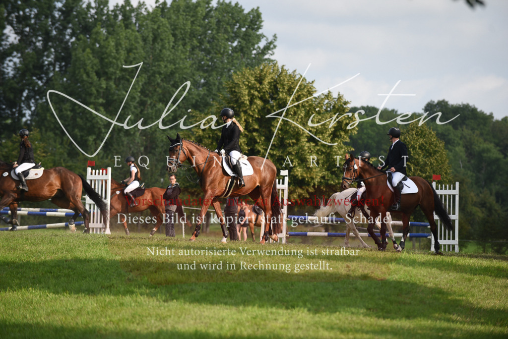 DSC_8615 | Pferde- und Turnierfotografie in Westsachsen. Pferdeportraits, Auftragszeichnungen und intuitive Kunst.