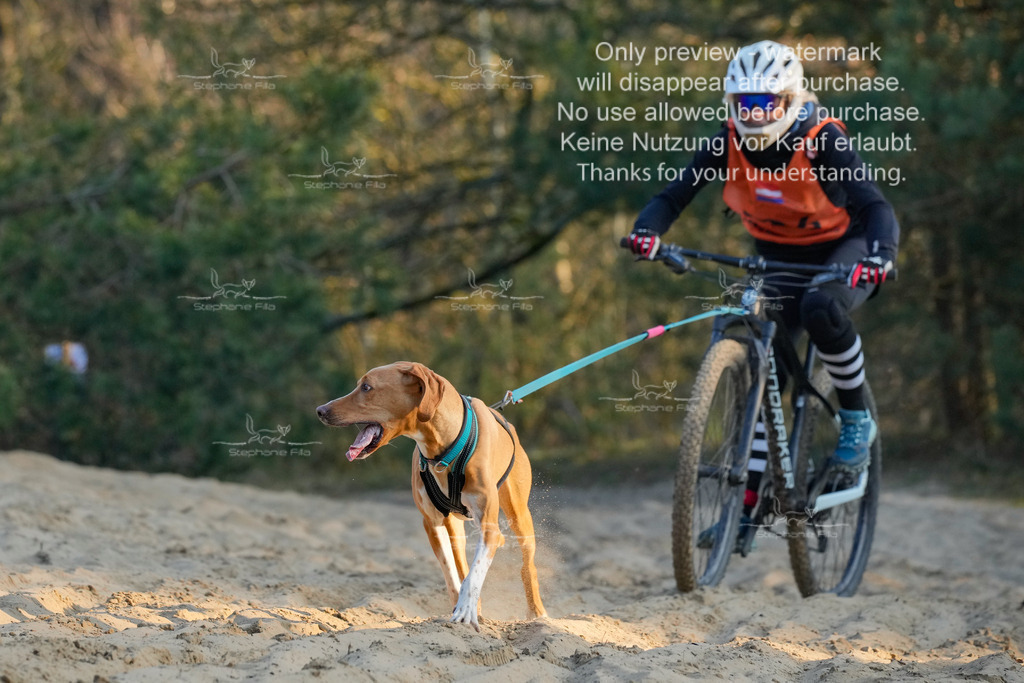 So_Bike-388 | stephaniefillaphotographie - Realisiert mit Pictrs.com