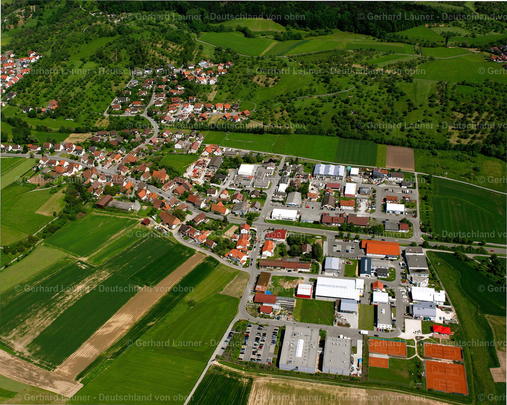 2506826 | Mittelbrüden, Auenwald