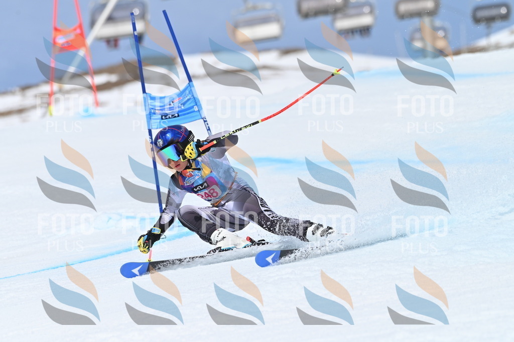 BGV_1844 | holidayphoto