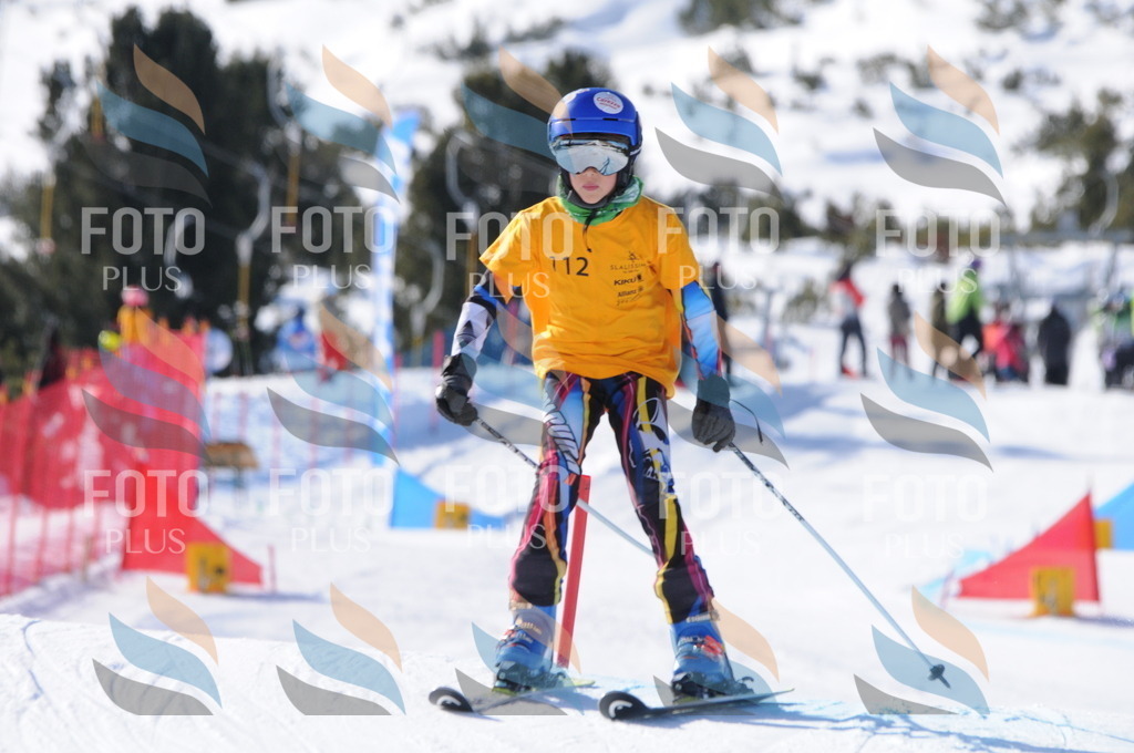 C7130 | holidayphoto