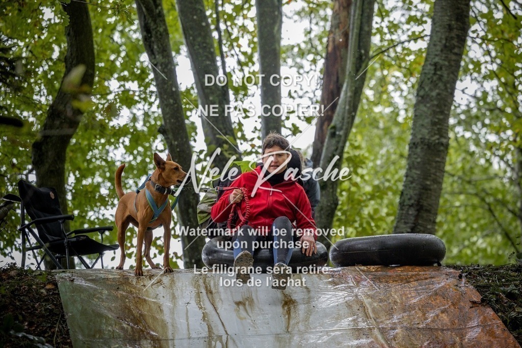 nelerasche_Hunsrück_Sa1430-1500_243-final | nelerasche
