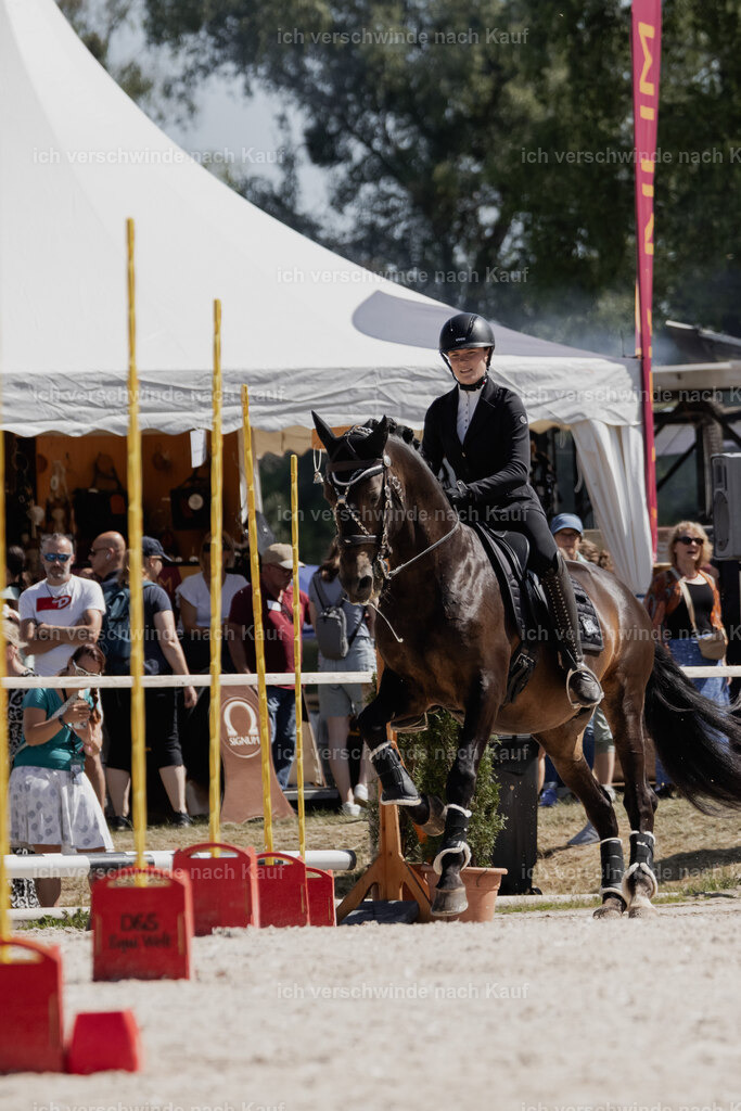 WE_SP_Stoib_309_PI2025_1481 | Pferd International München 2025