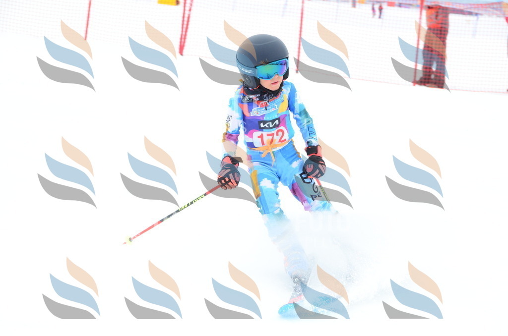 DSC_1620 | holidayphoto