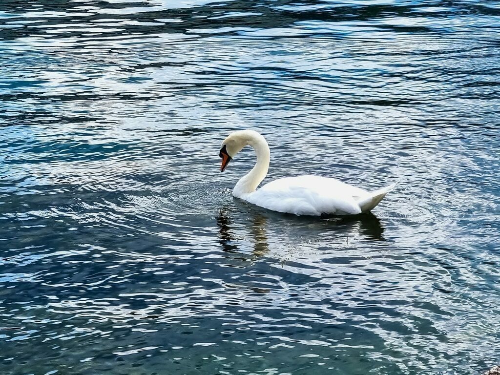 PSX_20220828_224925 | mtkfoto_ - Realisiert mit Pictrs.com