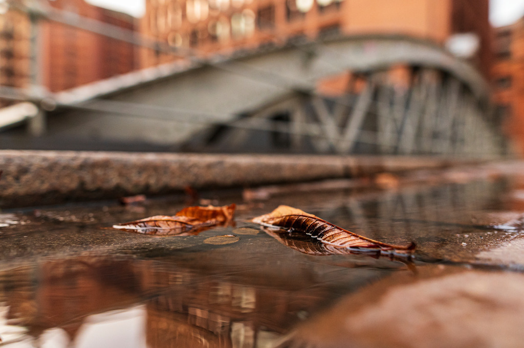 2023_01_15_HH-SPEICHSTADT+HAFENCITY_MCP6651 | Hochwertig gedruckte Fotografien für die Wand, als Kalender und zum Verschenken. Hamburg & Norddeutschland und überall wo ich mit der Kamera unterwegs war.