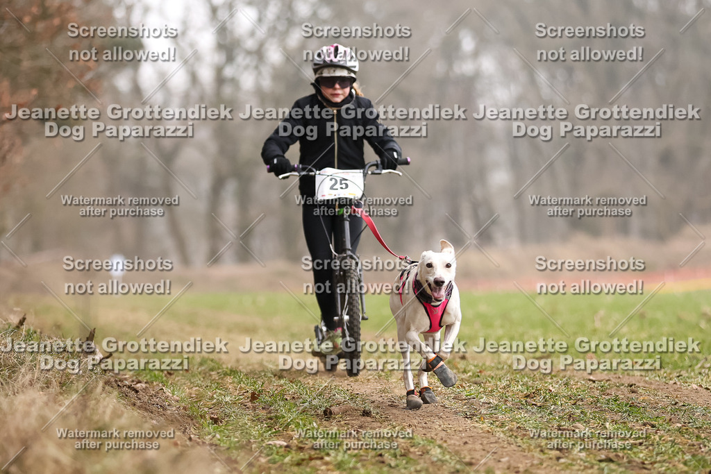 Dog Paparazzi - Plate 2026-87 | Dog Paparazzi Jeanette Grottendiek Fotografie & Videografie - Realisiert mit Pictrs.com