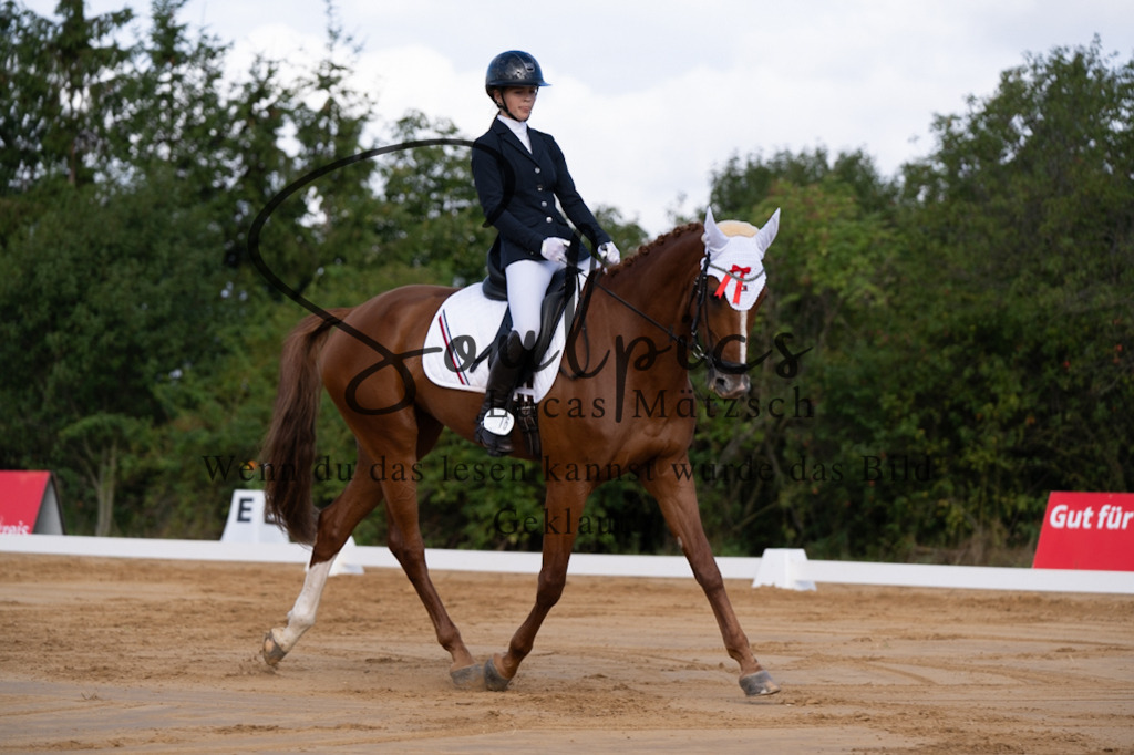 A7V05124 | Pferdefotograf