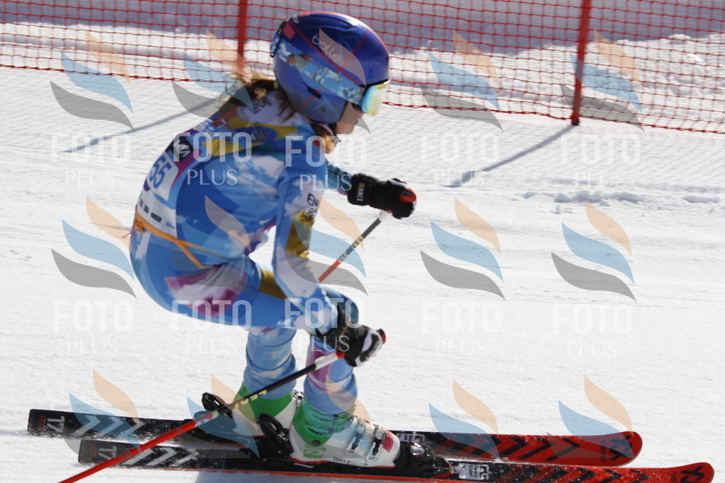 _U3G9494 | holidayphoto