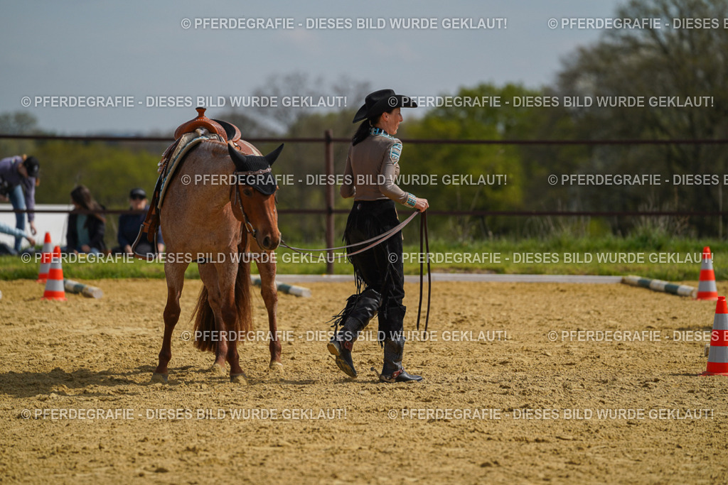 DSC04247 | Pferdegrafie