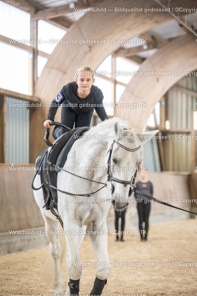 _D5A3726 | Emotionale Pferde- & People-Fotografie rund um Heidelberg, Leimen & Umgebung. Natürliche Fotos von Pferd, Mensch & Familie. Jetzt Termin sichern!