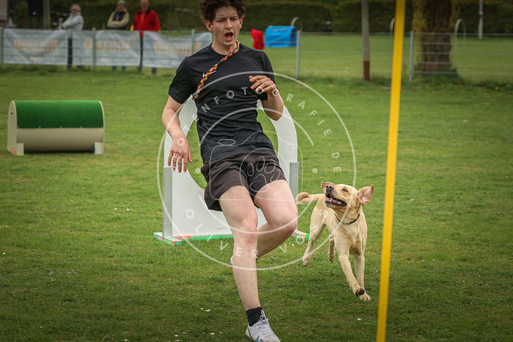 Pfotenfotografie_0L8A1434 | Hundefotografie, Tierfotograf, Pfotenfotografie, Fotoshooting Hund, Hunde Portrait, Hundesport, Hundeportraits, Heideshooting, Hunde, Sportfotograf, Hundefotograf, Turnierhundsport, THS,  - Realisiert mit Pictrs.com