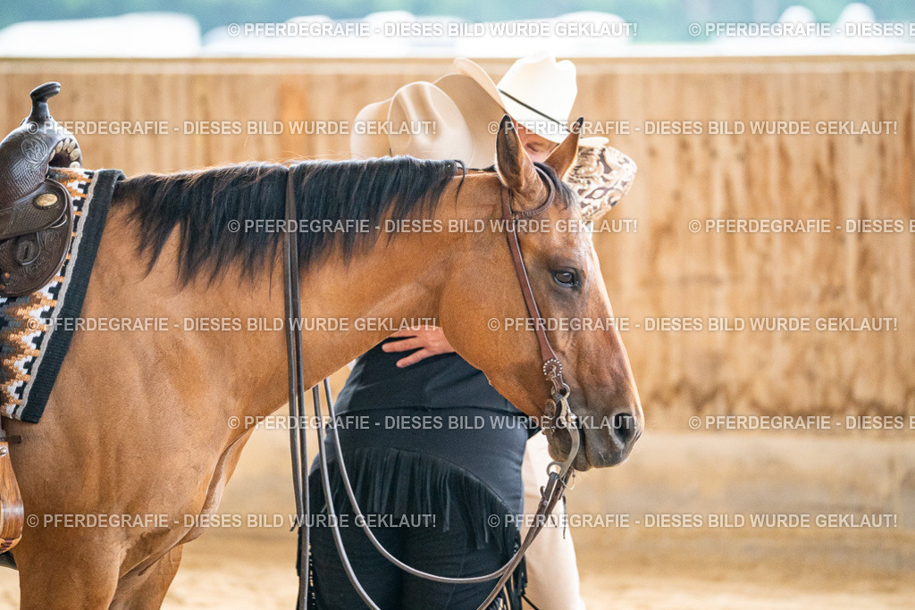 DSC07516 | Pferdegrafie