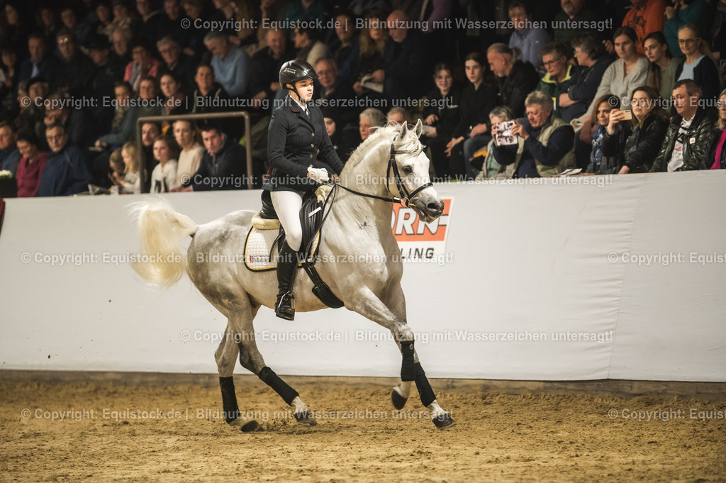 20240302_Hengstvorstellung_Marbach_TOMsPiC_1009-2 | equistock