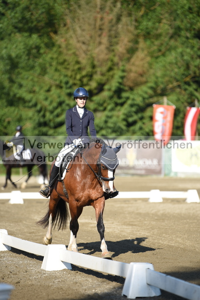 DSC_6842 | equestrian-live-com