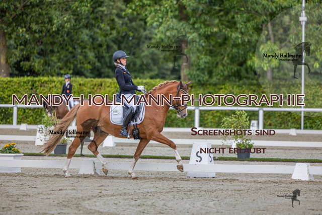 DRE L 6j (792 von 969) | mandyhollmannphotographie