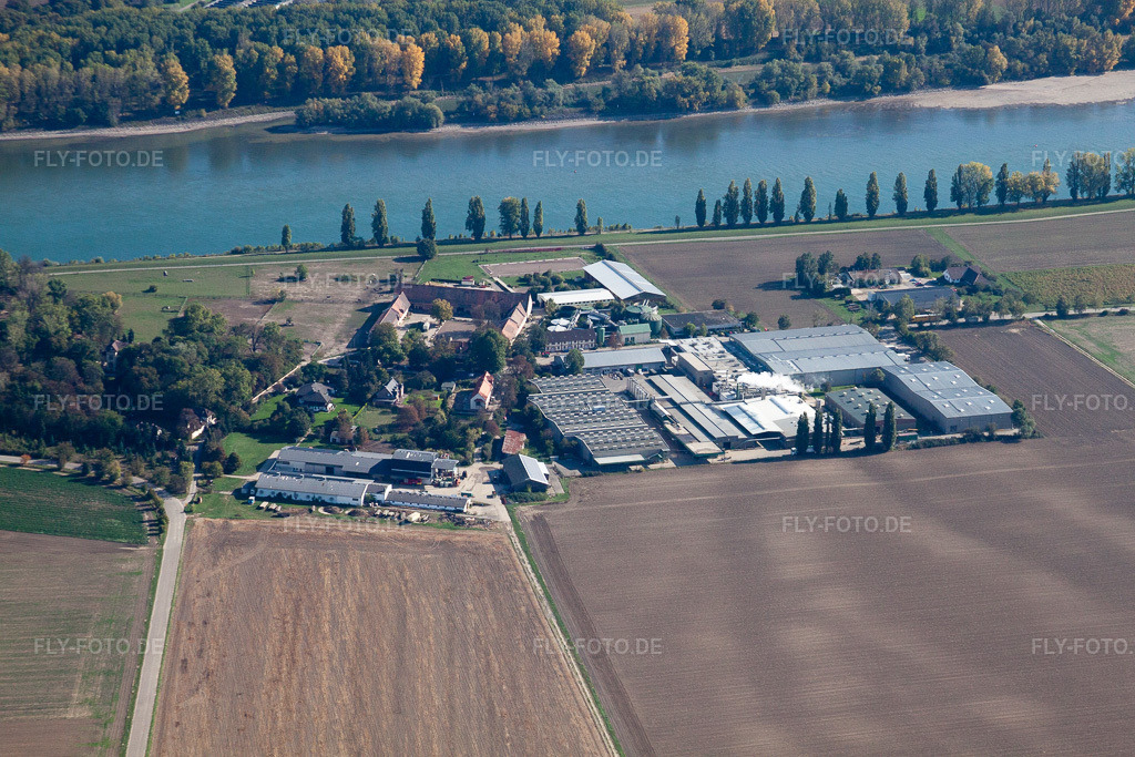 Luftbild: Gehöft des Hofguts Petersau, Produzent der Chio Chips, am Ufer des Rheinsim Ortsteil Petersau (Pfalz) im Ortsteil Mörsch in Frankenthal im Bundesland Rheinland-Pfalz in Deutschland. Foto: IMG_21754.jpg vom 09.10.2009 durch Werner Riehm/FLY-FOTO.de