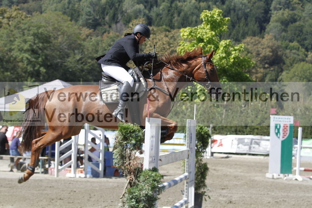_MG_6384 | equestrian-live-com