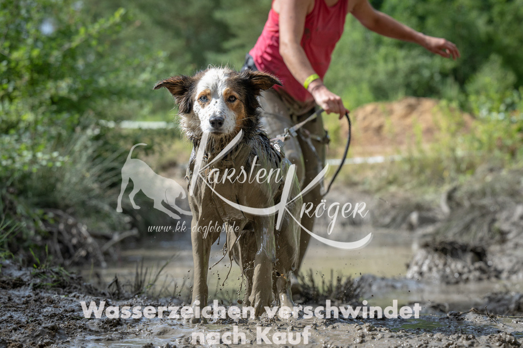 1003_ZZ90652 | kk-dogfotos