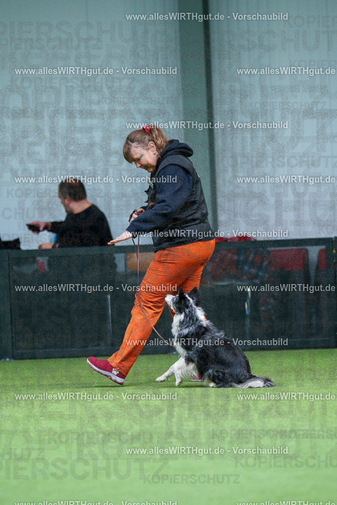 7R506422 | Professionelle Tierfotografie in Mönchengladbach von Daniel Wirth (allesWIRTHgut). Liebevolle & natürliche Bilder von Hunden & Katzen für unvergessliche Erinnerungen.