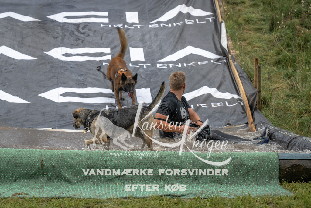 1435_ZZ90952 | kk-dogfotos