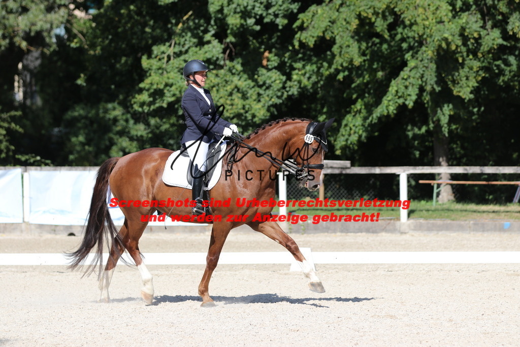 IMG_5529 | lmwpictures - Realisiert mit Pictrs.com