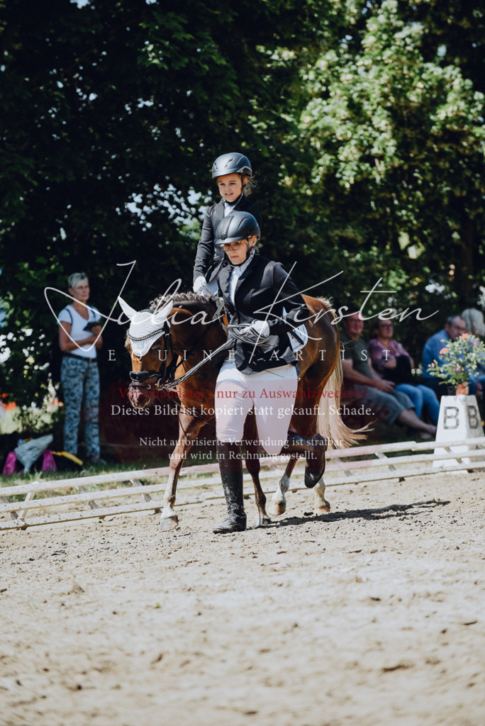 DSC_2543 | Pferde- und Turnierfotografie in Westsachsen. Pferdeportraits, Auftragszeichnungen und intuitive Kunst.