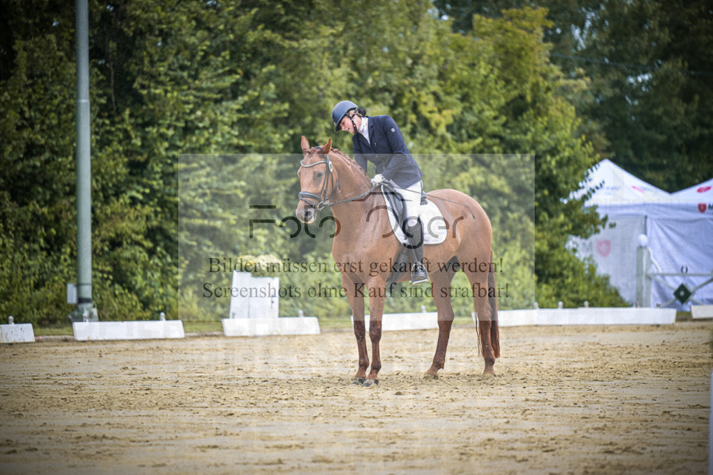 DOS_1155 | Entdecke hochwertige Reitturnierfotos von Foto Oger. Professionell, emotional und authentisch – jetzt Lieblingsmomente im Shop bestellen.Deutschlandweite Turnierfotografie. - Realisiert mit Pictrs.com