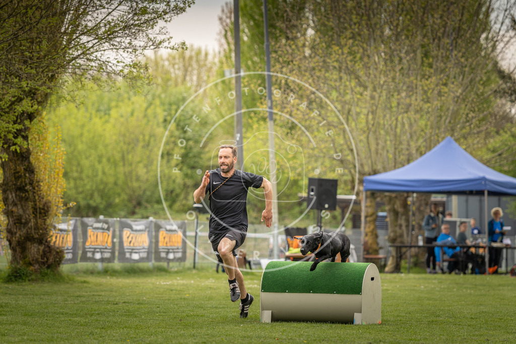 Pfotenfotografie_DV3A6897 | Hundefotografie, Tierfotograf, Pfotenfotografie, Fotoshooting Hund, Hunde Portrait, Hundesport, Hundeportraits, Heideshooting, Hunde, Sportfotograf, Hundefotograf, Turnierhundsport, THS,  - Realisiert mit Pictrs.com