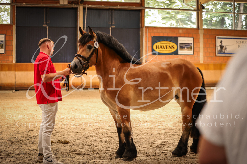 SaFL00183 | Leoni Ertmer Photography - Realisiert mit Pictrs.com