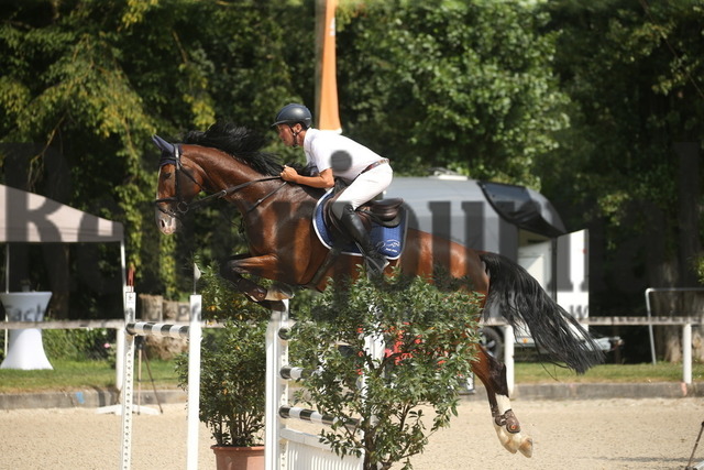 Waiblingen_2022_Springen_Kl.S_Markus Kölz_SG_s Air Pilot (1) | Alle Fotos der Reiterjournal Fotografin Doris Matthaes im Reiterjournal Online-Fotoshop. - Realisiert mit Pictrs.com